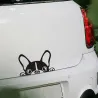 Waterproof - vinyl car sticker with a dog's faceStickers