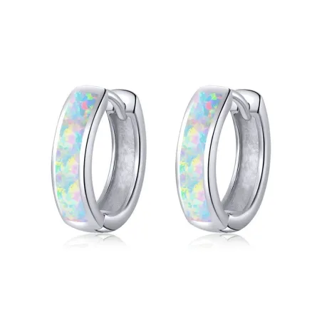 925 sterling silver earrings with opalEarrings