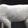 Christmas decoration - white reindeer - deerChristmas