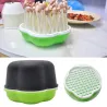 Plant germination tray - portable - moisture proof - plastic planting boxGarden