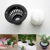 Mesh pot - basket - for hydroponic system plant / vegetable grow - with foam insert - 10 piecesGarden