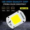 10W - 30W - 50W - 220V - LED floodlight - waterproof reflector - motion sensorFloodlights