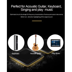 Music amplifier - outdoor speaker - for guitars / electric guitarsGuitars