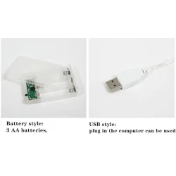 Fruits slices shaped string light - battery powered / USB - lemon / lime / orangeLights & lighting