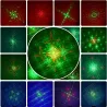 Stage / disco light - laser projector - 128 patterns - RGBW - LEDStage & events lighting