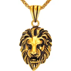 Lion head pendant - stainless steel necklaceNecklaces