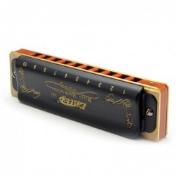 Easttop T008K - diatonic blues harmonica - 10 holesHarmonica