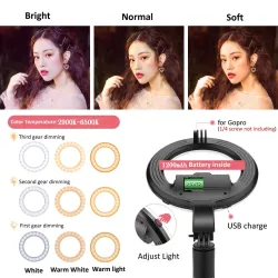 4 in 1 selfie stick - LED ring light - wireless - Bluetooth - mini handheld tripod- with remoteSelfie sticks