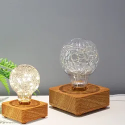 Modern LED night light - USB - copper wire string bulbLights & lighting