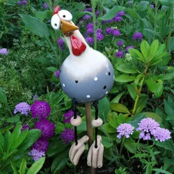 Funny chicken - hen - rooster - garden / lawn decorationGarden