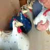 Funny chicken / hen - garden / lawn decoration - resinGarden