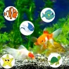 Colorful stickers for kids - starfish / koala / panda / lion / unicornDecoration