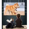 AAO YG230 - mini projector - 1080P - WiFi - multi screen - with speakerProjectors