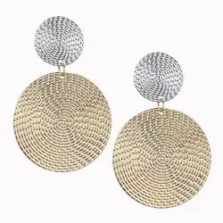 Fashionable earrings - double circles - silver & goldEarrings