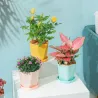 Geometric flower pot - plastic resinGarden