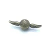 Hand fidget spinner - metal anti-stress toy - golden snitch - angel wingsFidget Spinner