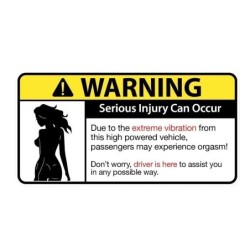 Funny car sticker - "Sexy Girl Warning Serious Injury Can Occur"