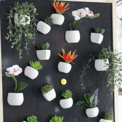 Decorative fridge magnets - table / desktop decoration - cactus - orchidFridge magnets
