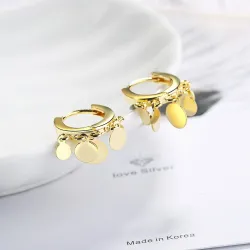 Silver round earrings - with dangle circlesEarrings