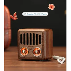 Retro plastic speaker - digital FM radio - BluetoothBluetooth speakers