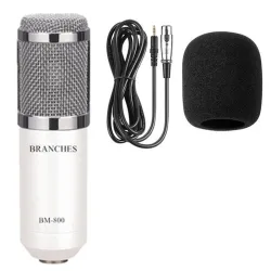 BM800 - dynamic condenser microphone - wired - with shock mount - tripodMicrophones