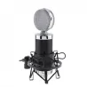 BM 5000 - professional condenser microphone - with circuit control - gold-plated diaphragmMicrophones