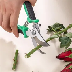 Professional pruning secateur - sharp garden scissorsGarden