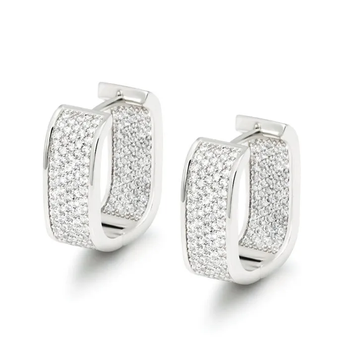 Small zircon earringsEarrings
