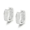 Small zircon earringsEarrings
