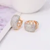 Elegant small hoop earrings - full zirconEarrings