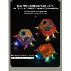 Ladybird - magic massage cube - sensory / spinning toy - LEDFidget Spinner