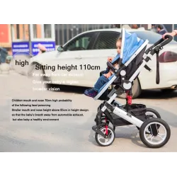 Two Way Stroller Baby's Pram 0-3 YearsBaby & Kids