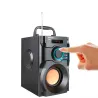 RS-A100 wireless bluetooth speaker with LCD displayBluetooth speakers