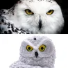 Owl shape - solar powered - outdoor - garden light lampSolar lighting